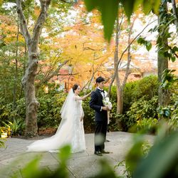 ザ・ガーデンオリエンタル大阪の写真35枚目