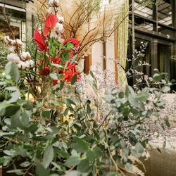 ザ・ガーデンオリエンタル大阪の写真34枚目