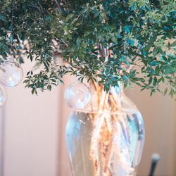 ウェスティンホテル大阪の写真31枚目