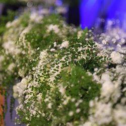 ウェスティンホテル東京の写真15枚目