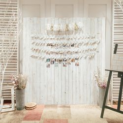 クアンティックの写真12枚目