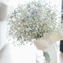 クアンティックの写真21枚目