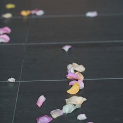 SOLA KOBEの写真17枚目