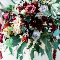 オランジュベールの写真22枚目