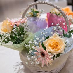 ザ・ベイスイート 桜島テラスの写真10枚目