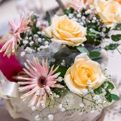 ザ・ベイスイート 桜島テラスの写真32枚目