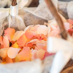 ザ・ベイスイート 桜島テラスの写真6枚目