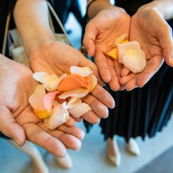 ザ・ベイスイート 桜島テラスの写真16枚目