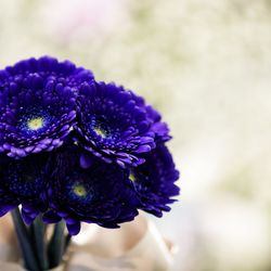 アルカンシエル横浜 luxe mariageの写真17枚目