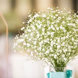 アルカンシエル横浜 luxe mariageの写真21枚目