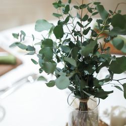 鶴見ノ森 迎賓館の写真19枚目