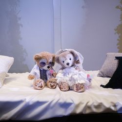 宮の森フランセス教会の写真16枚目