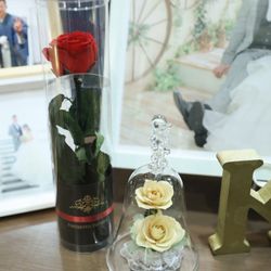 宮の森フランセス教会の写真32枚目