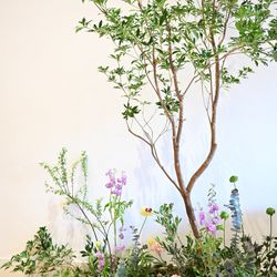 TRUNK HOTELの写真29枚目