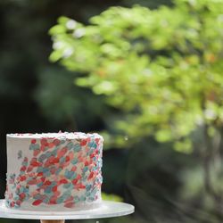 ザ ナンザンハウスの写真14枚目