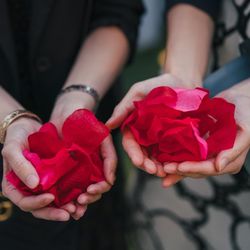 グランド ハイアット 東京の写真6枚目