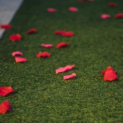 グランド ハイアット 東京の写真28枚目