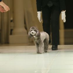 ニーズ青山 by T&G WEDDING の写真1枚目