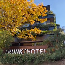 TRUNK HOTELの写真21枚目