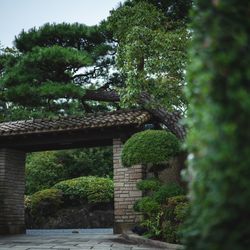 ジェームス邸の写真11枚目