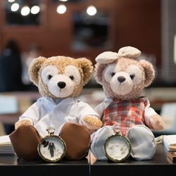 ザ・ピーク プレミアムテラスの写真34枚目