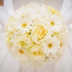 KOTOWA 奈良公園 Premium Viewの写真5枚目