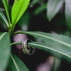 ザ ナンザンハウスの写真1枚目