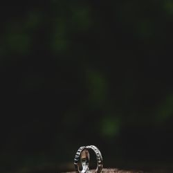 ザ ナンザンハウスの写真26枚目