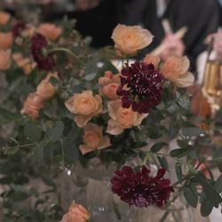 クラシカ表参道の写真8枚目