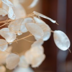 万国津梁館の写真26枚目