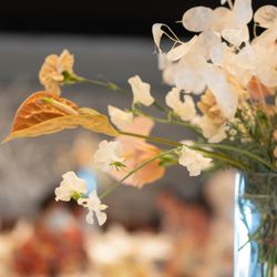 万国津梁館の写真36枚目