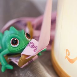 宮の森フランセス教会の写真31枚目