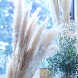 宮の森フランセス教会の写真7枚目