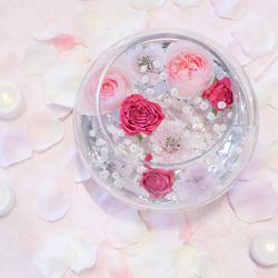 宮の森フランセス教会の写真18枚目