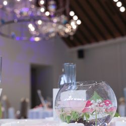 宮の森フランセス教会の写真10枚目