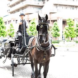 ウェスティンホテル東京の写真11枚目