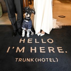 TRUNK HOTELの写真24枚目