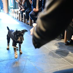 TRUNK HOTELの写真17枚目