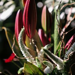 ザ ナンザンハウスの写真12枚目