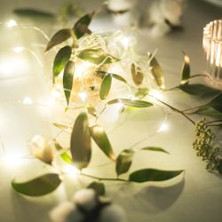 迎賓館の写真30枚目