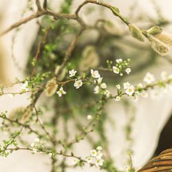 迎賓館の写真19枚目