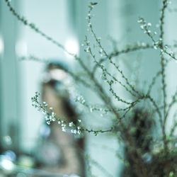 迎賓館の写真35枚目