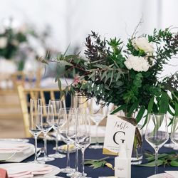 SOLA KOBEの写真11枚目