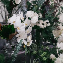 SOLA KOBEの写真26枚目