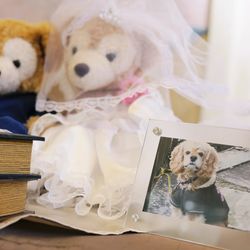 マリエカリヨン名古屋の写真28枚目