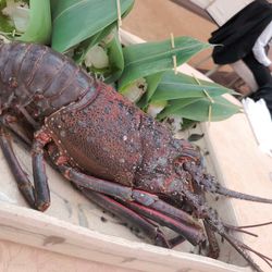 マリエカリヨン名古屋の写真26枚目