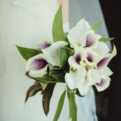 赤坂プリンス クラシックハウスの写真23枚目