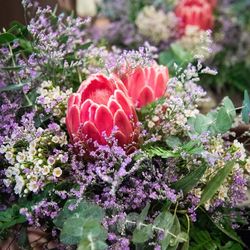 クラシカ表参道の写真20枚目