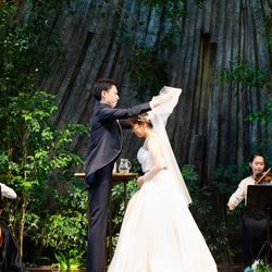 クラシカ表参道の写真27枚目