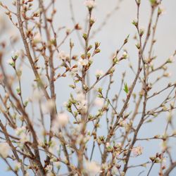 ザ ナンザンハウスの写真21枚目